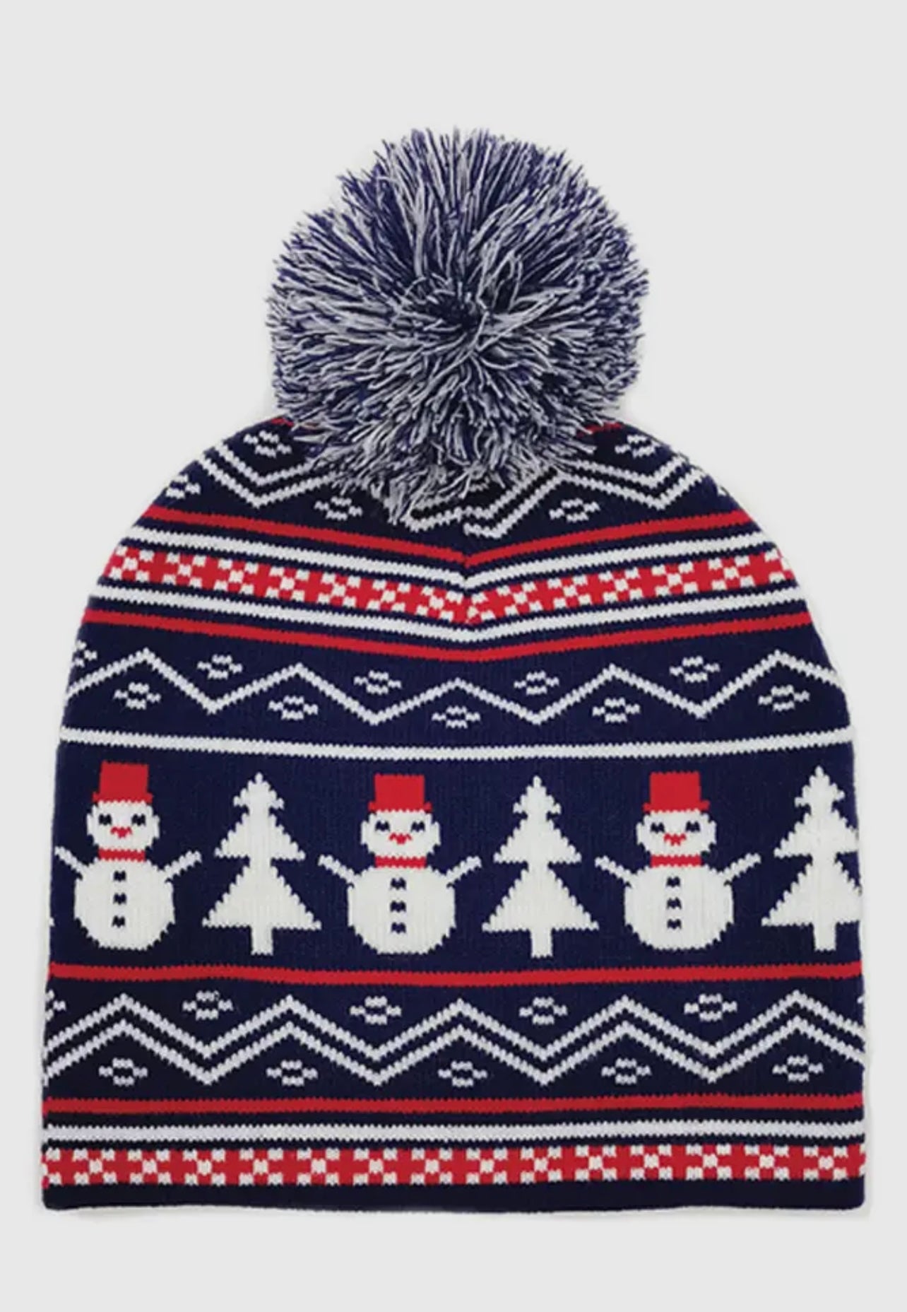 PomPom Beanie