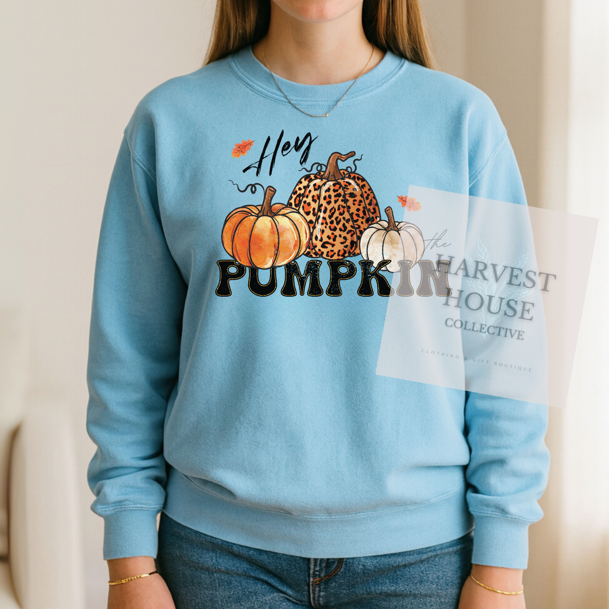 Hey Pumpkin Shirt