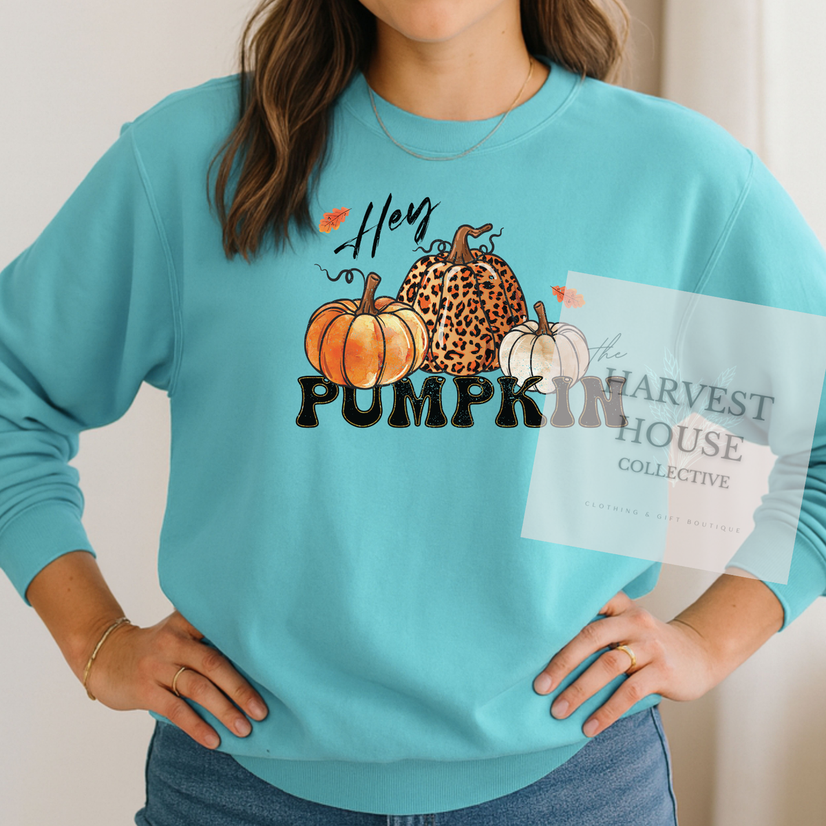 Hey Pumpkin Shirt