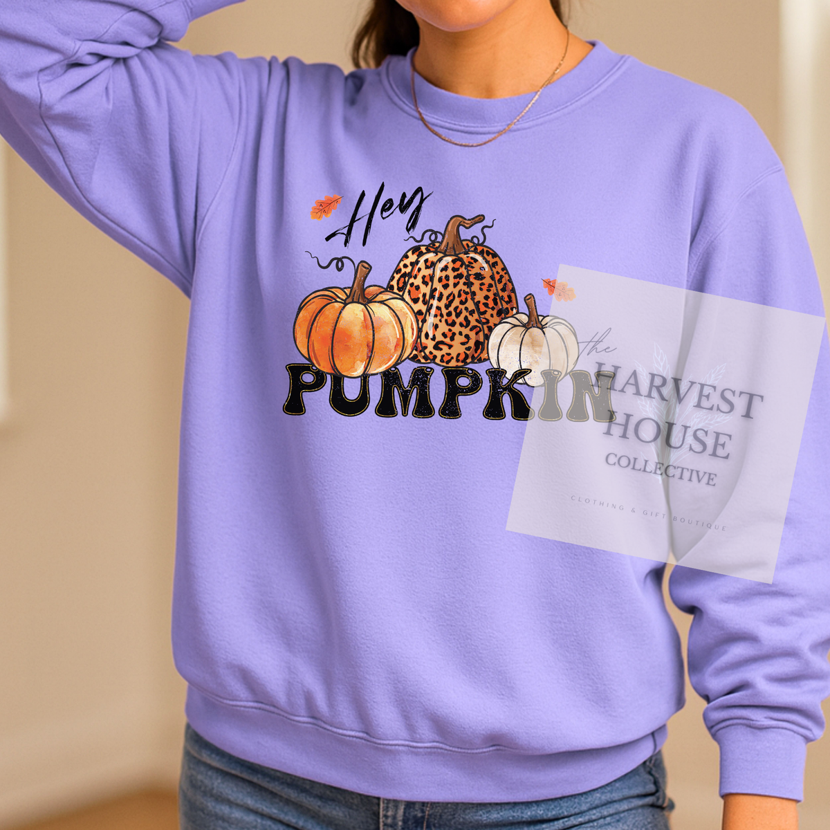 Hey Pumpkin Shirt