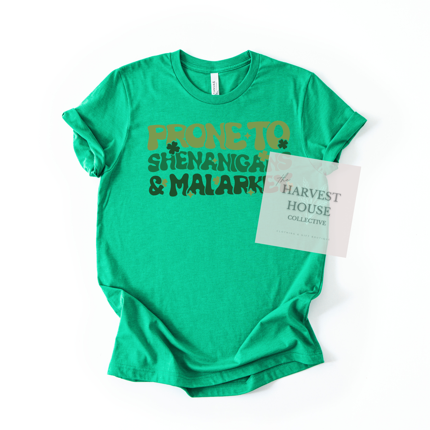 Prone To Shenanigans And Malarky Bella Canvas Tee