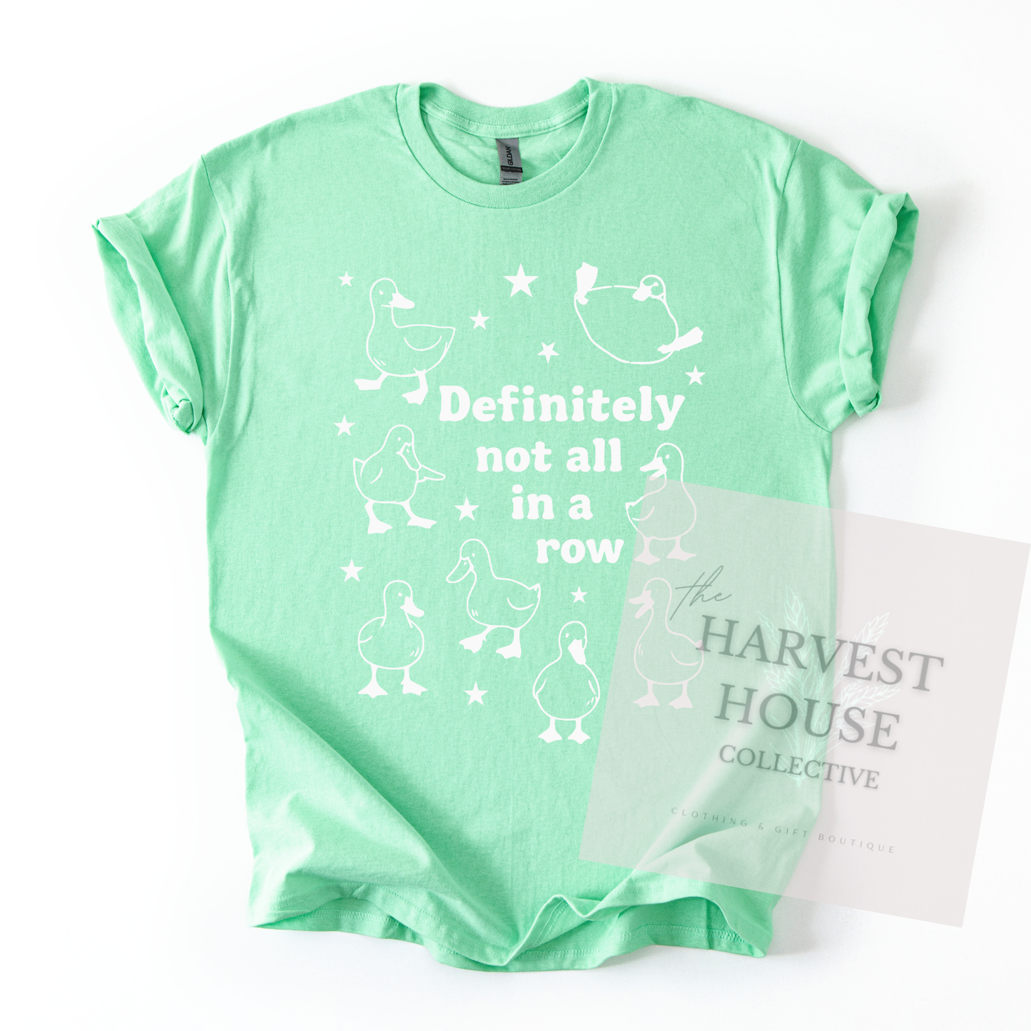 Ducks In A Row Tee