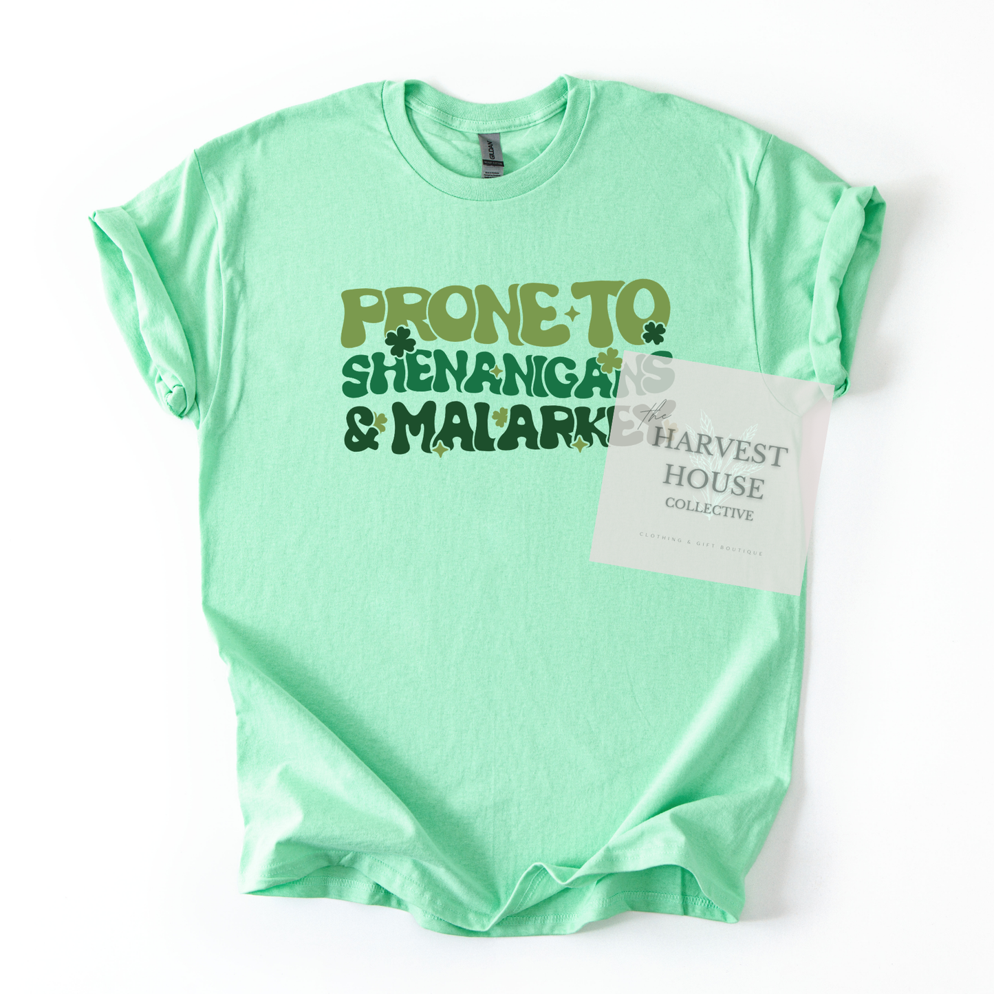 Prone To Shenanigans And Malarky Bella Canvas Tee