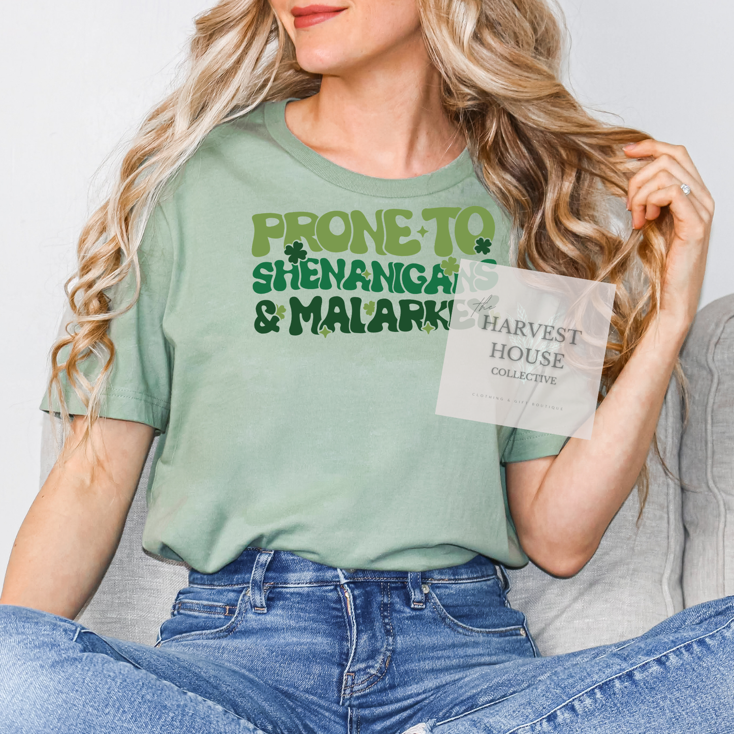 Prone To Shenanigans And Malarky Bella Canvas Tee
