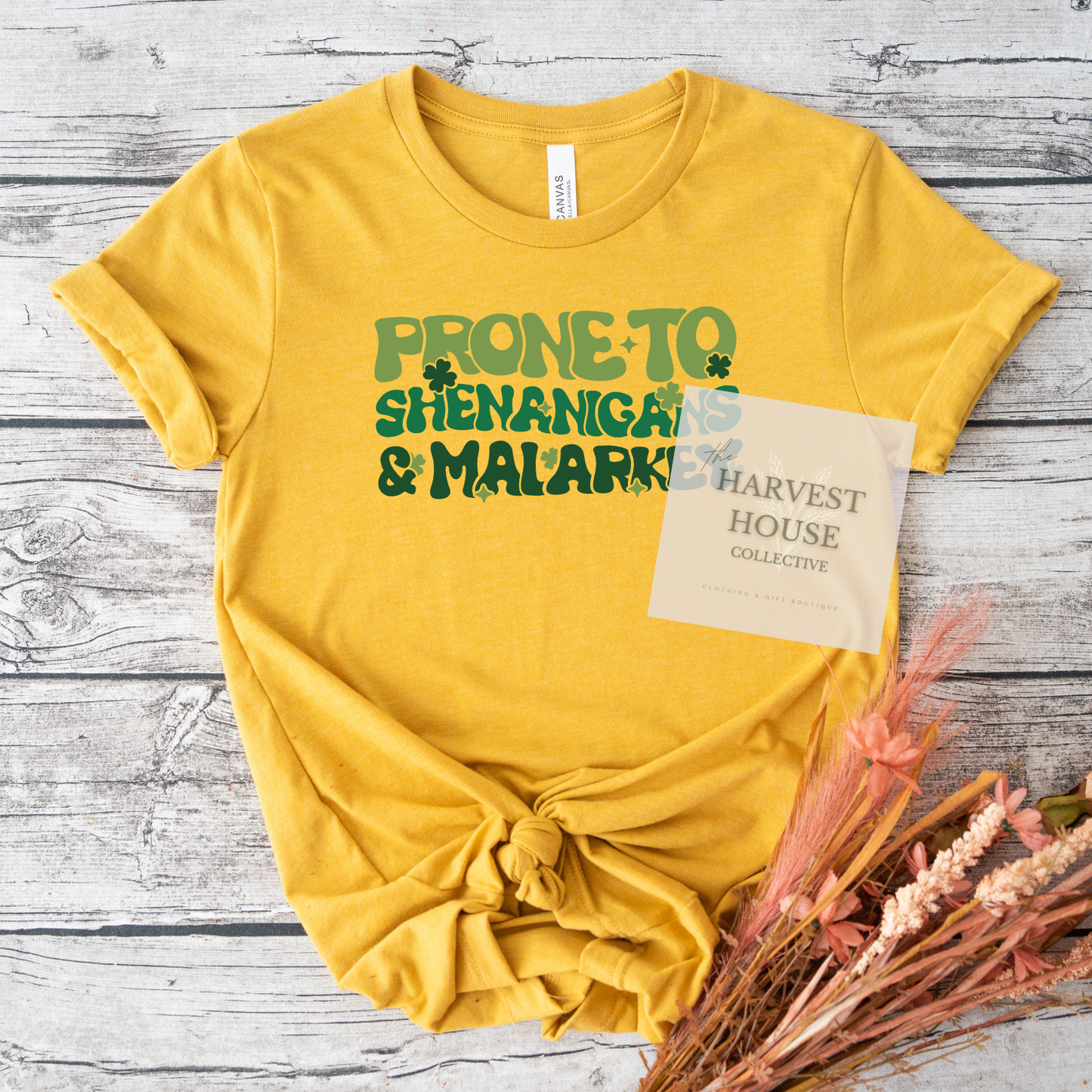 Prone To Shenanigans And Malarky Bella Canvas Tee