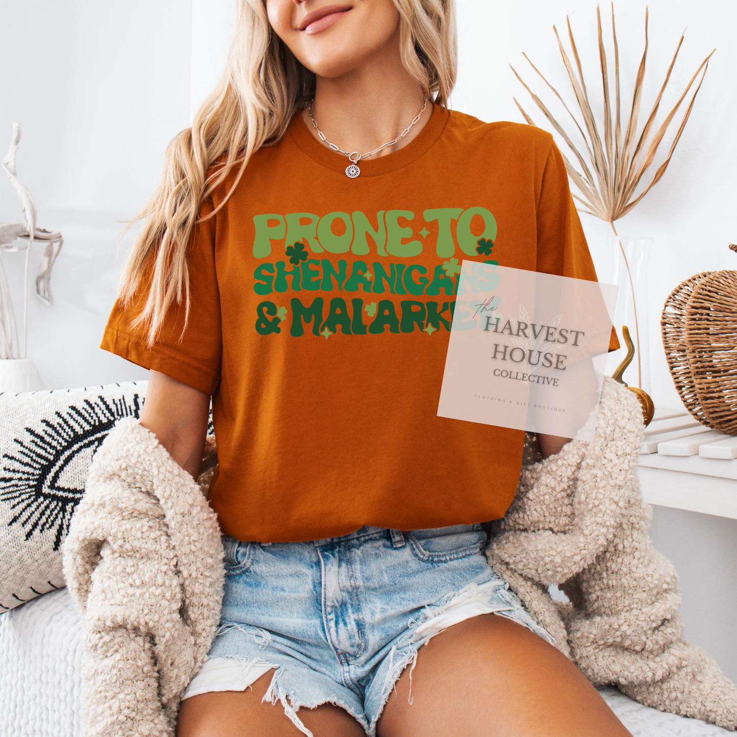 Prone To Shenanigans And Malarky Bella Canvas Tee
