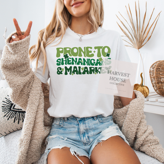 Prone To Shenanigans And Malarky Bella Canvas Tee