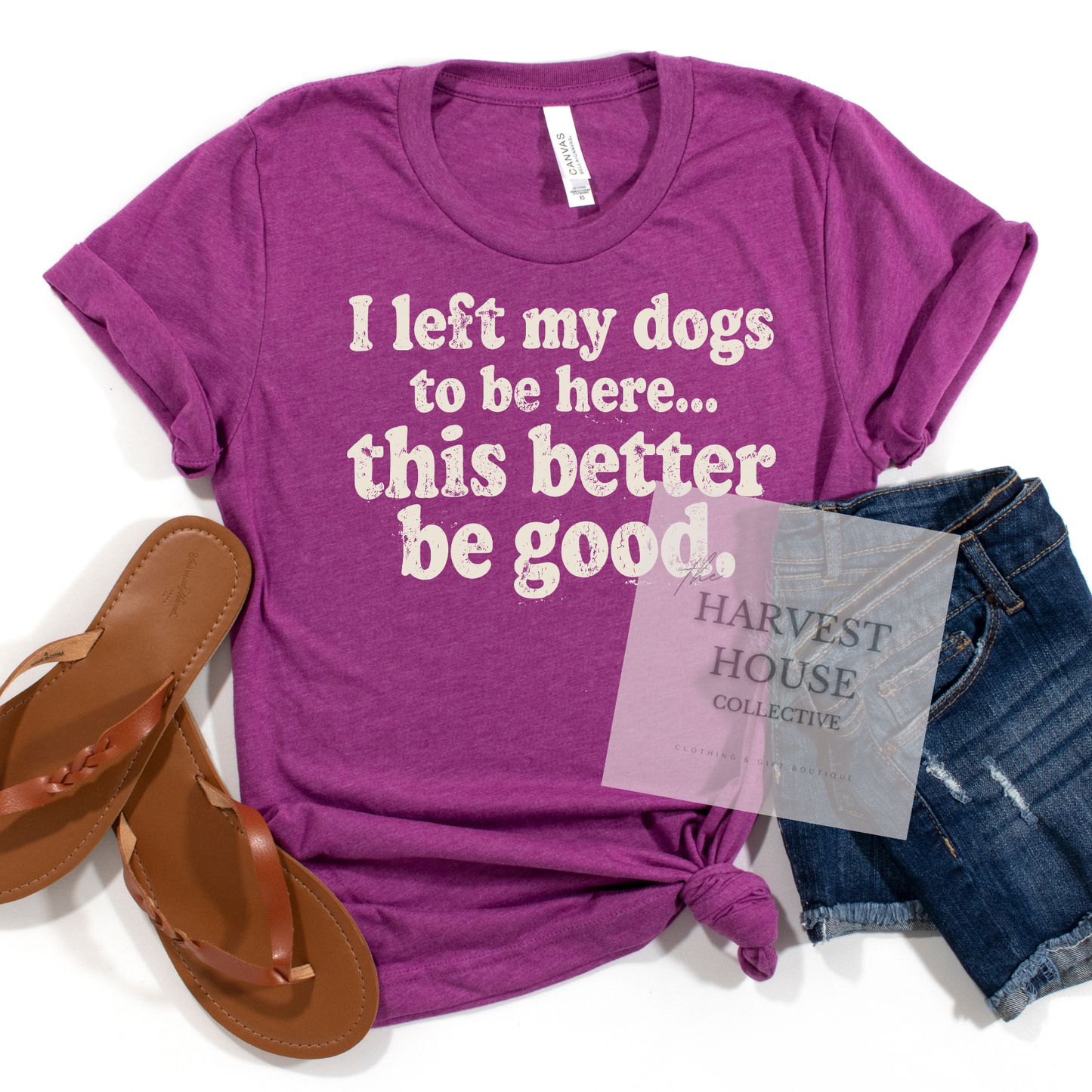 I Left My Dog To Be Here Bella Canvas Tee