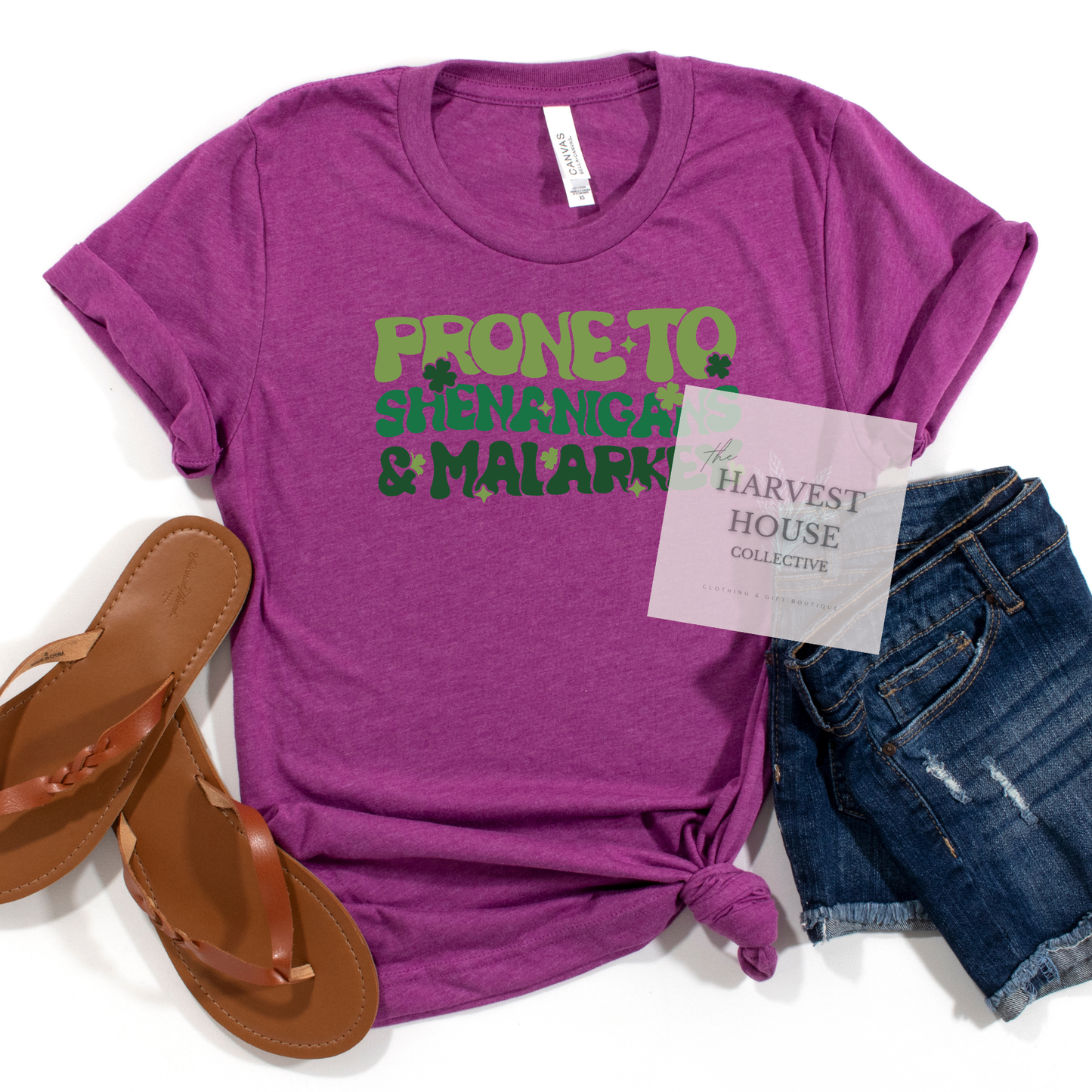 Prone To Shenanigans And Malarky Bella Canvas Tee