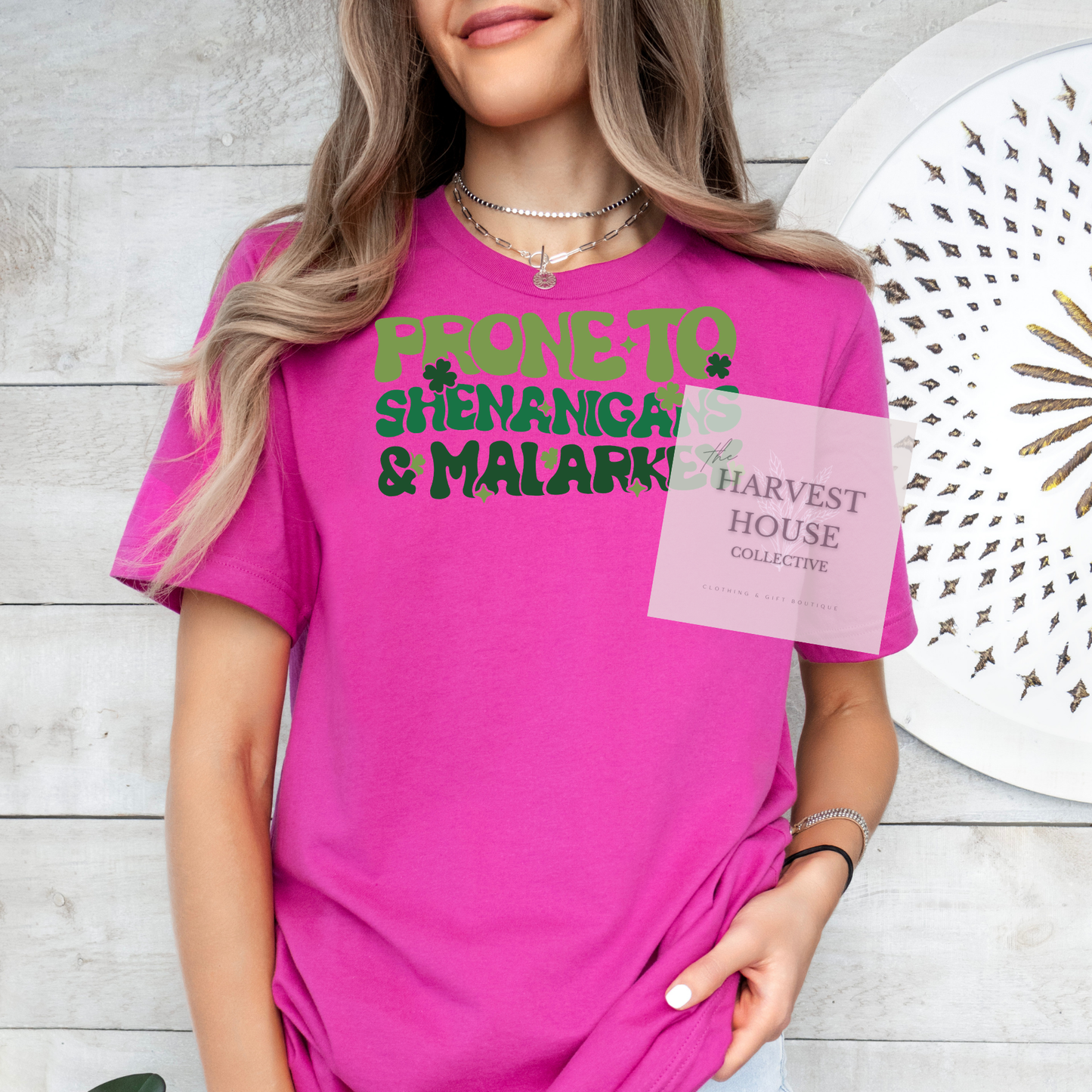 Prone To Shenanigans And Malarky Bella Canvas Tee