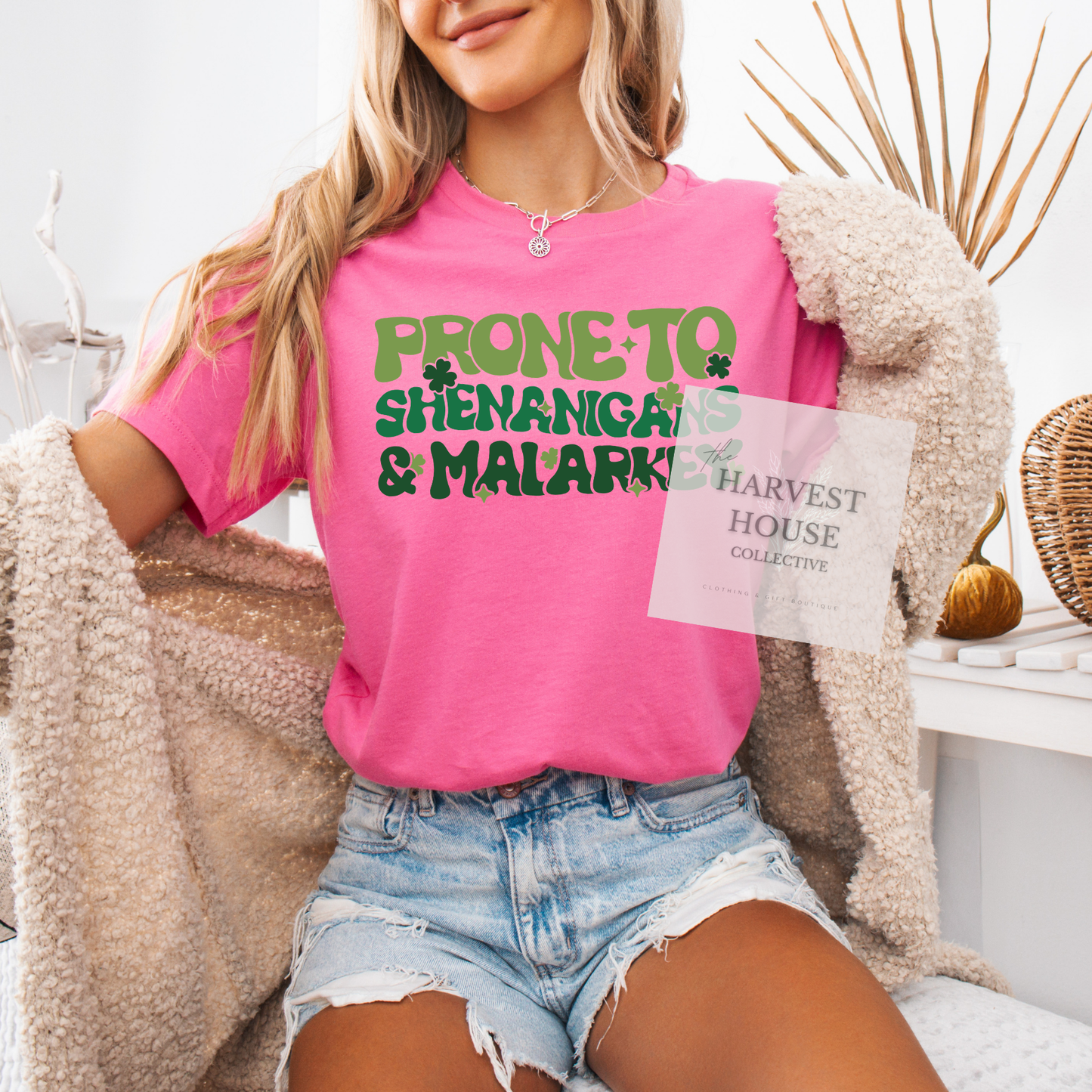 Prone To Shenanigans And Malarky Bella Canvas Tee