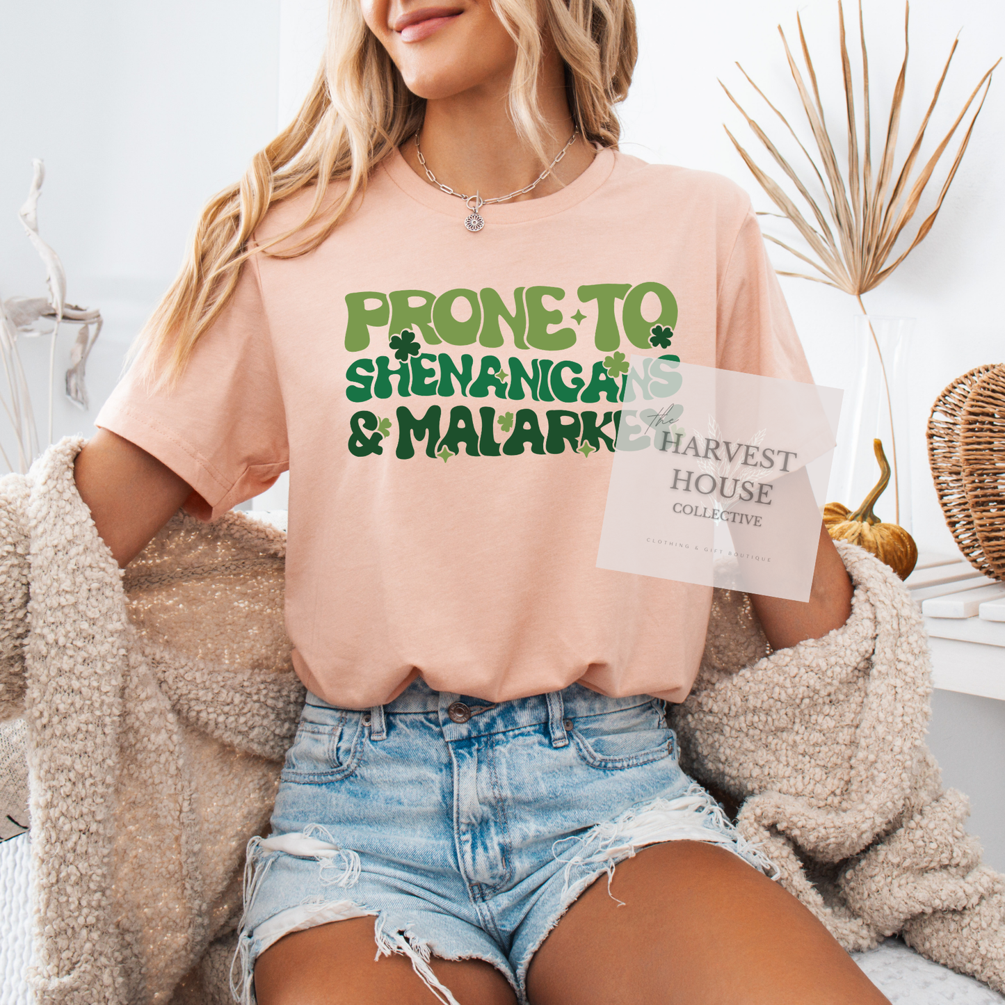 Prone To Shenanigans And Malarky Bella Canvas Tee