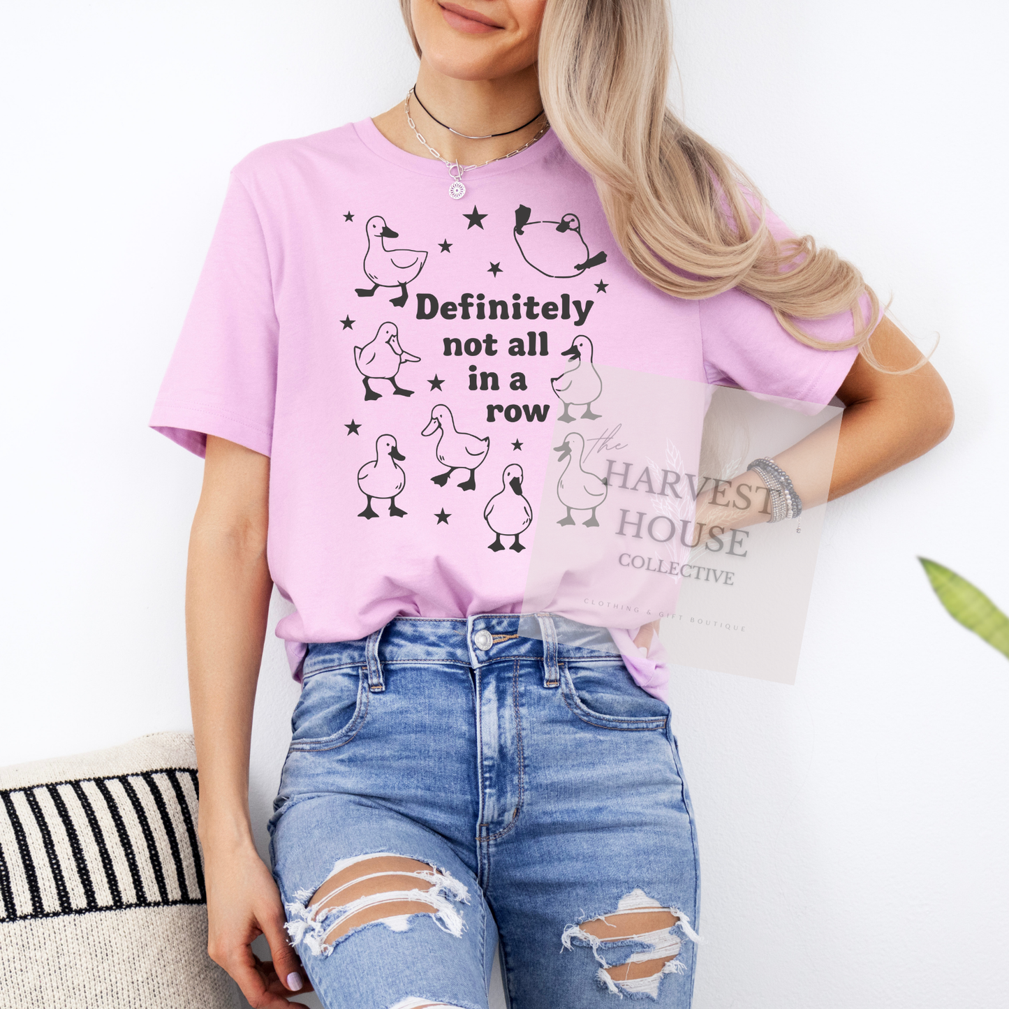Ducks In A Row Tee