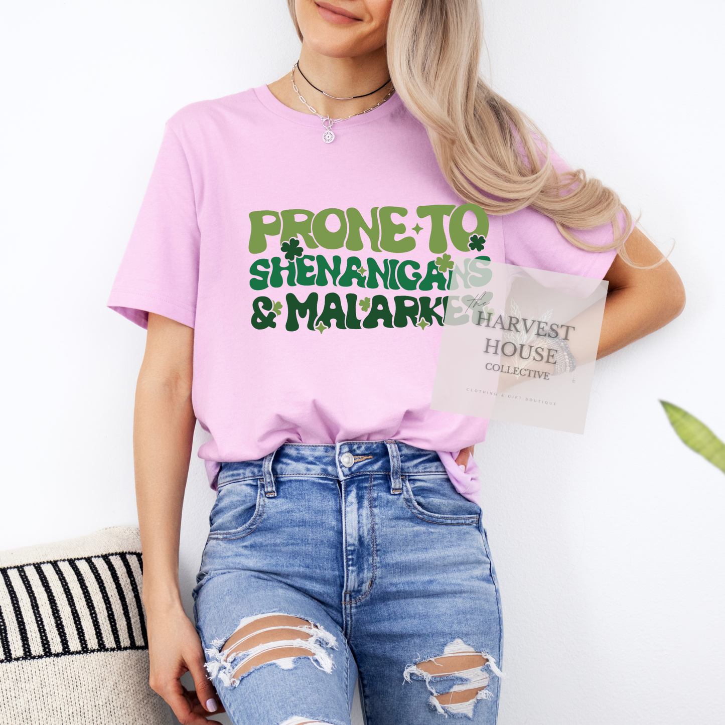 Prone To Shenanigans And Malarky Bella Canvas Tee