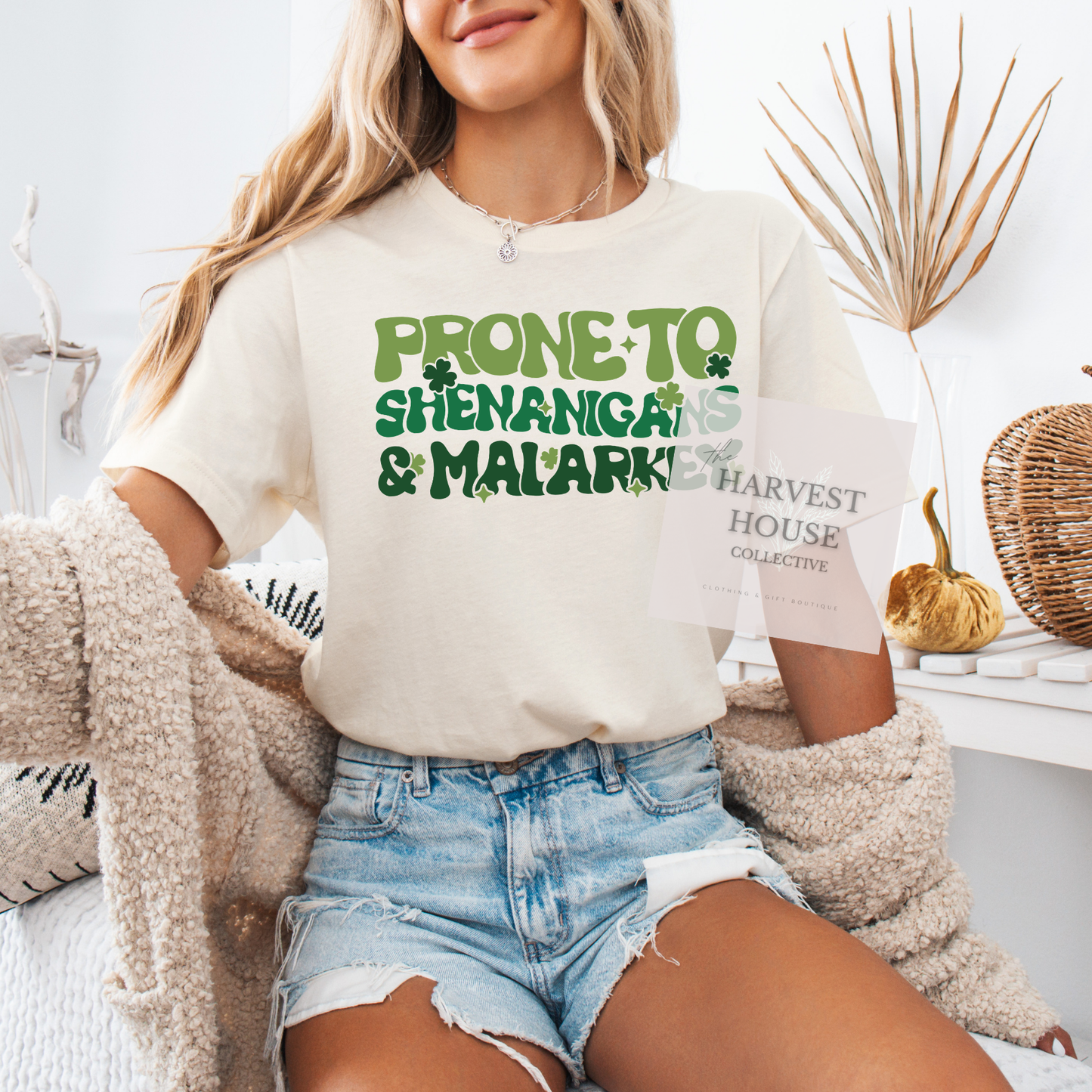 Prone To Shenanigans And Malarky Bella Canvas Tee