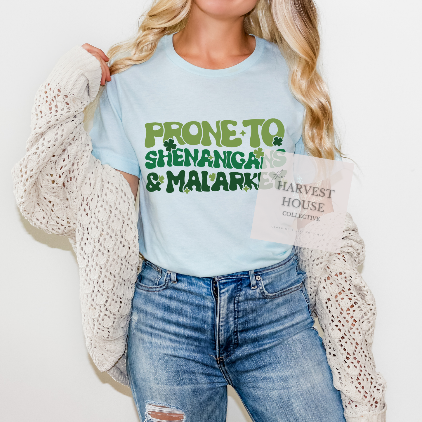 Prone To Shenanigans And Malarky Bella Canvas Tee
