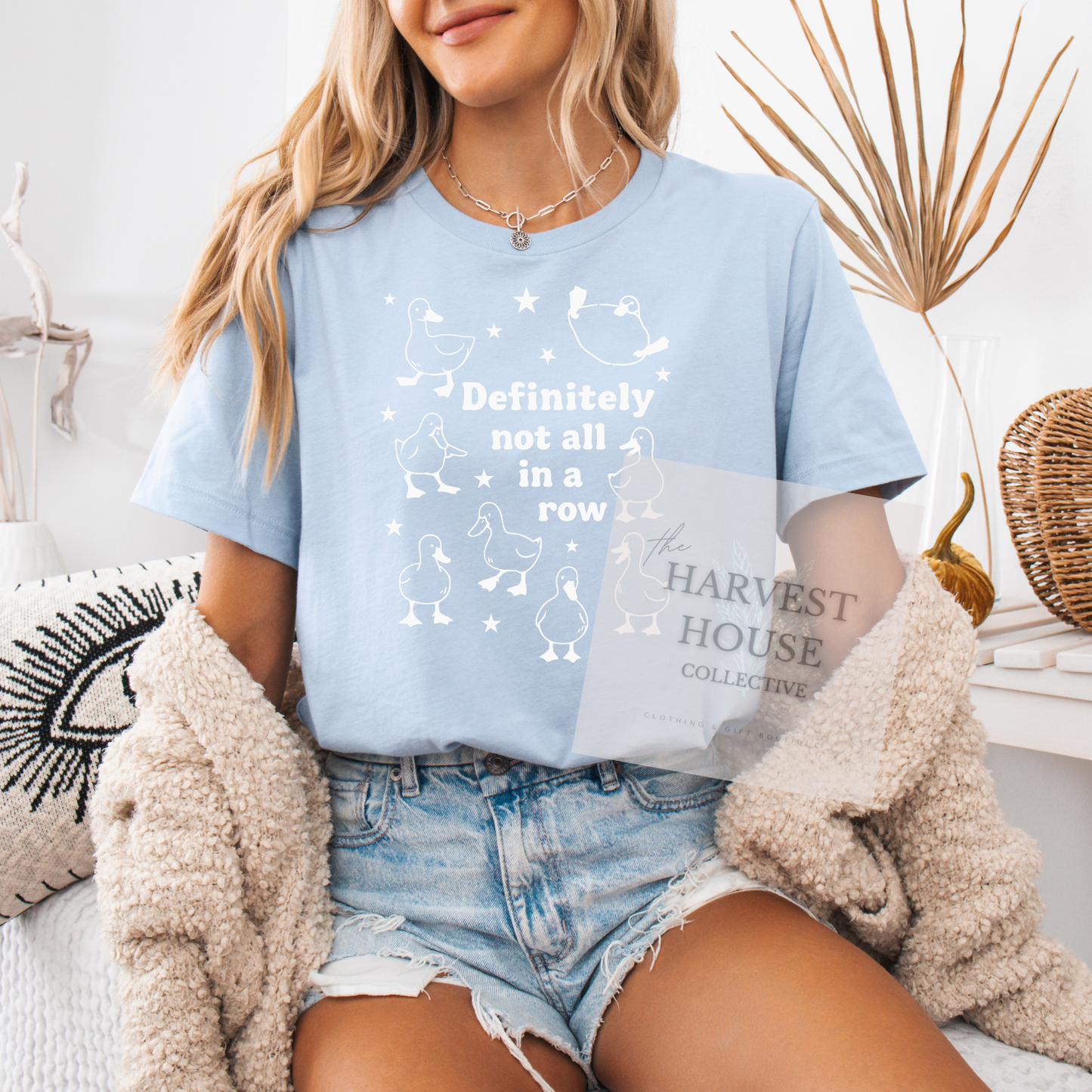 Ducks In A Row Tee