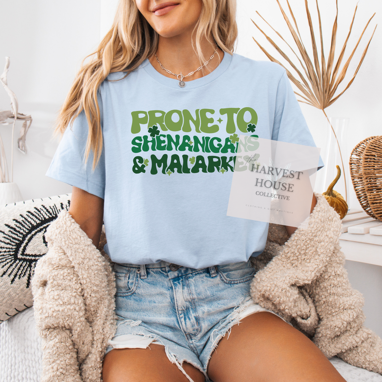 Prone To Shenanigans And Malarky Bella Canvas Tee
