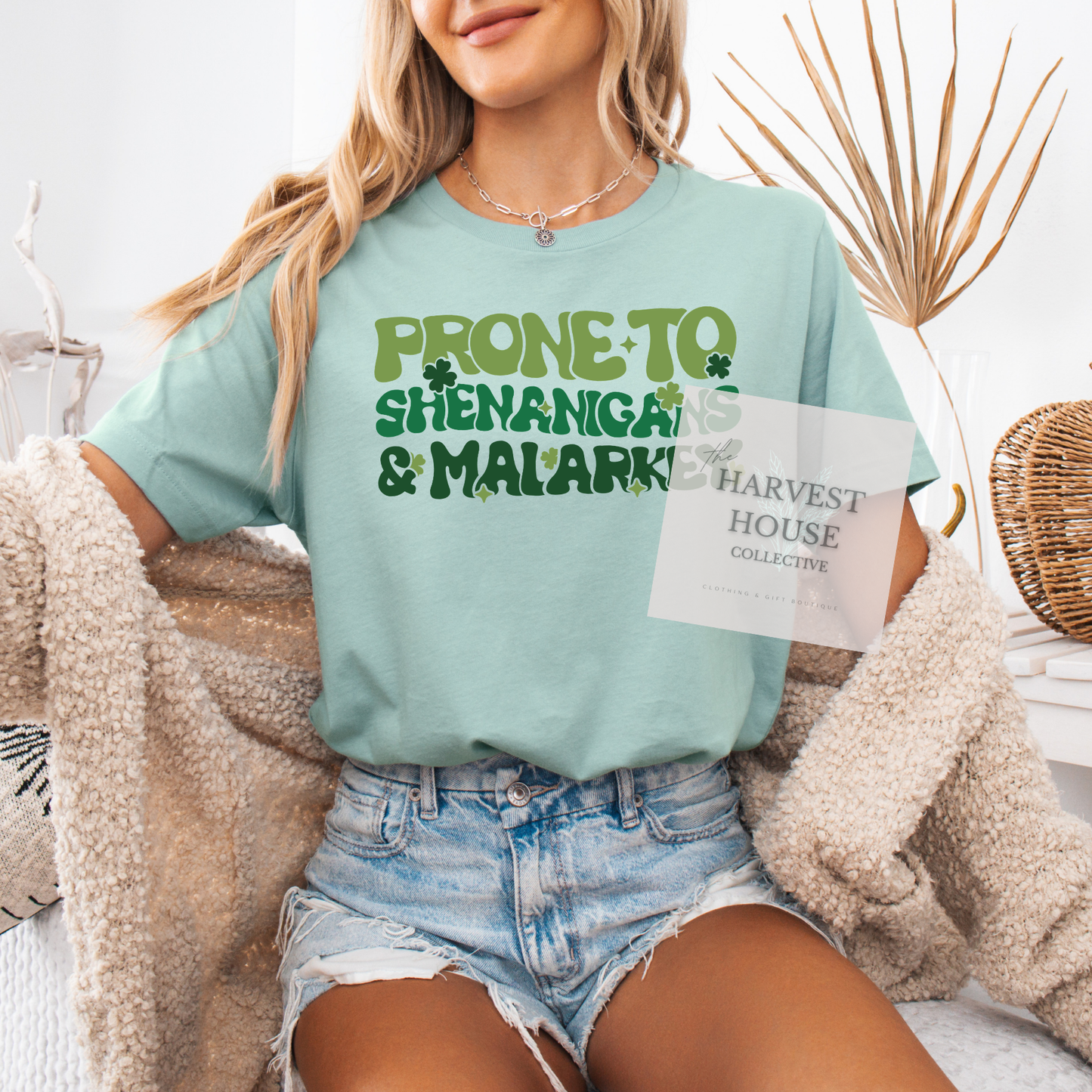Prone To Shenanigans And Malarky Bella Canvas Tee