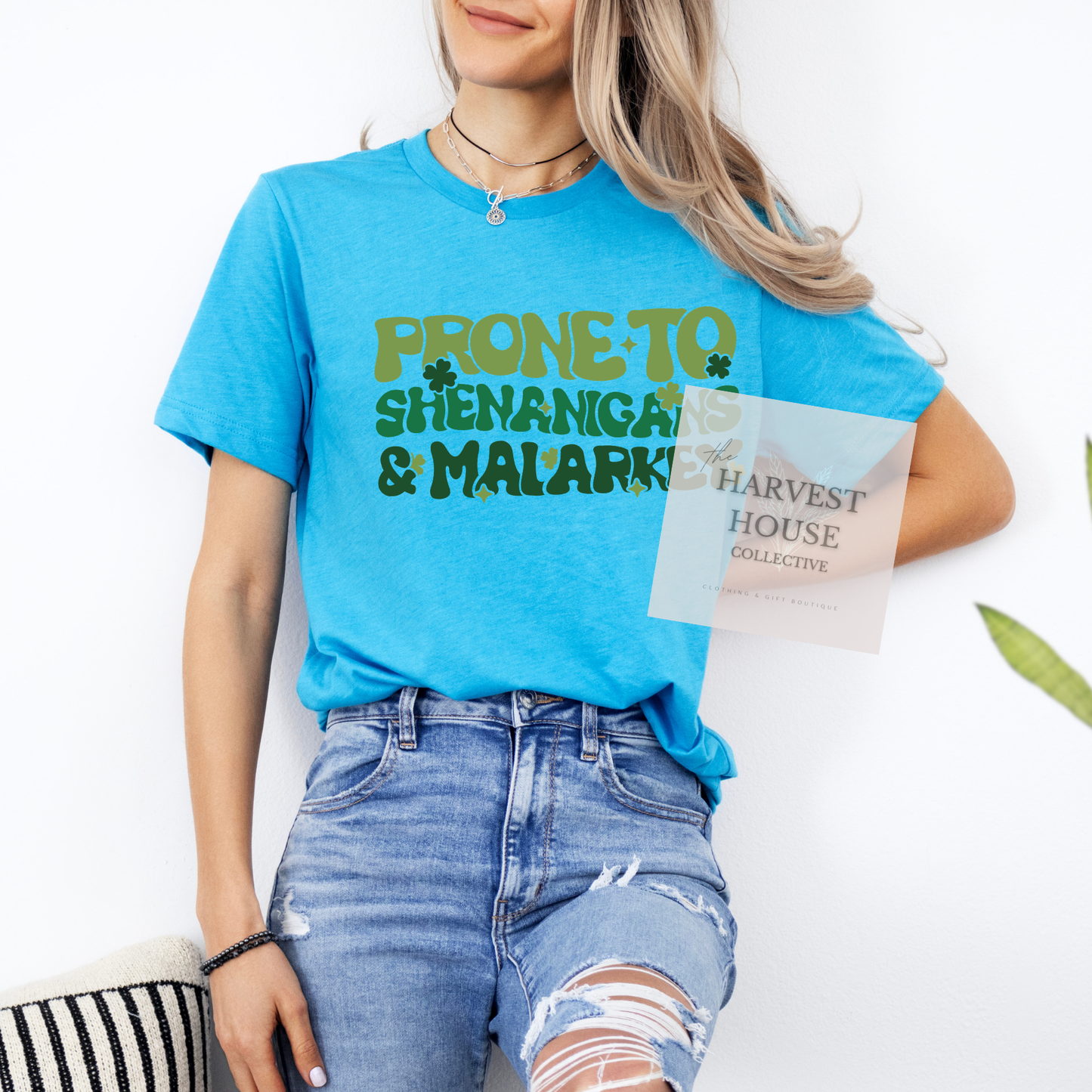 Prone To Shenanigans And Malarky Bella Canvas Tee
