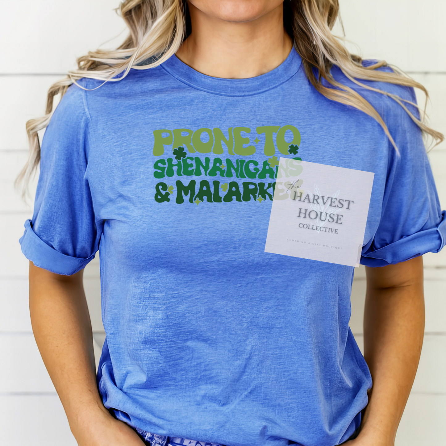 Prone To Shenanigans And Malarky Bella Canvas Tee