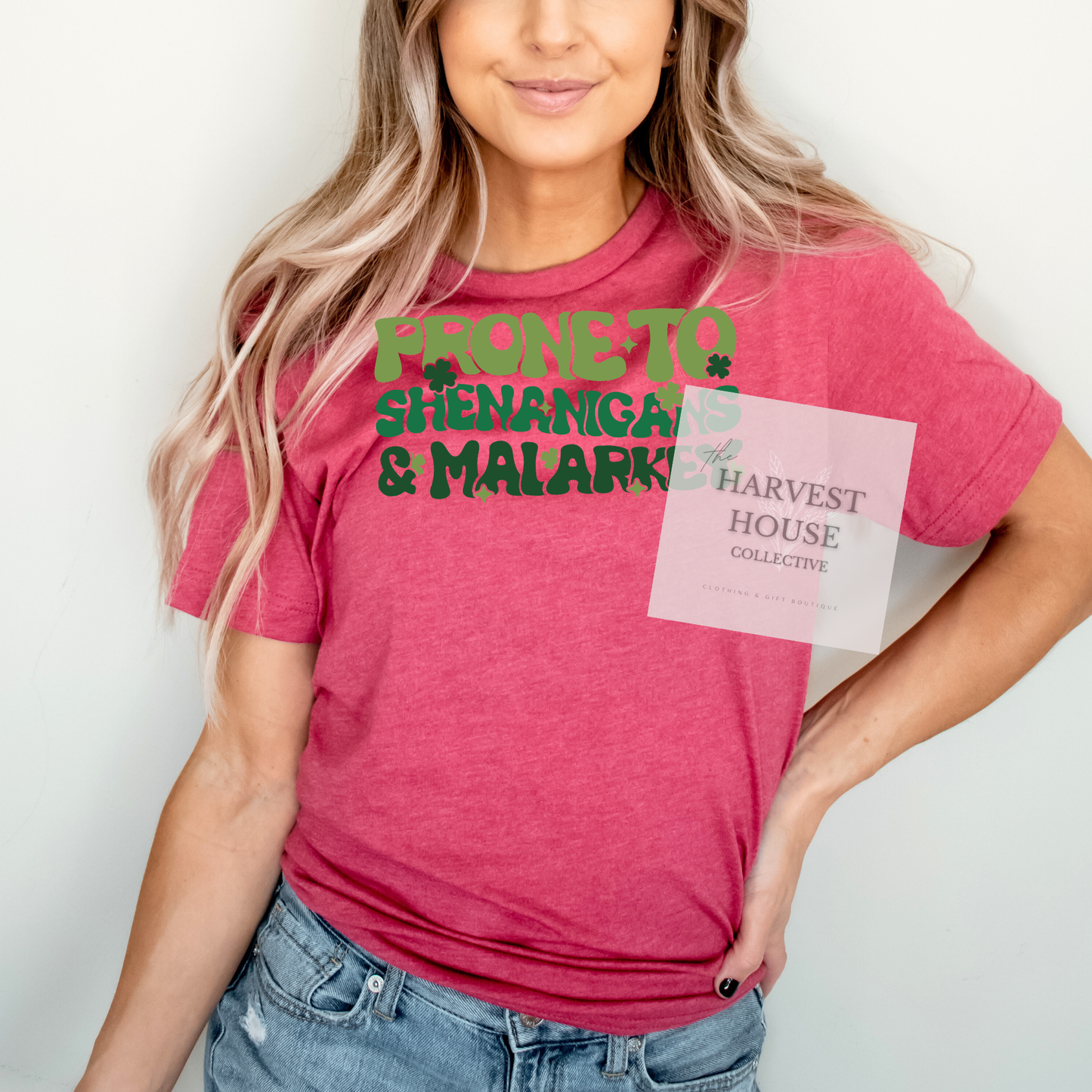 Prone To Shenanigans And Malarky Bella Canvas Tee