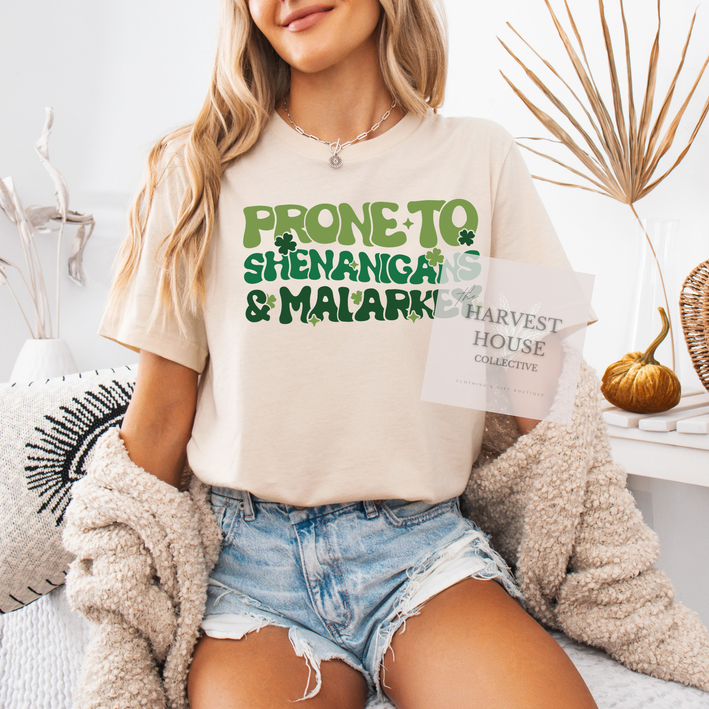 Prone To Shenanigans And Malarky Bella Canvas Tee