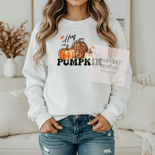 Hey Pumpkin Shirt