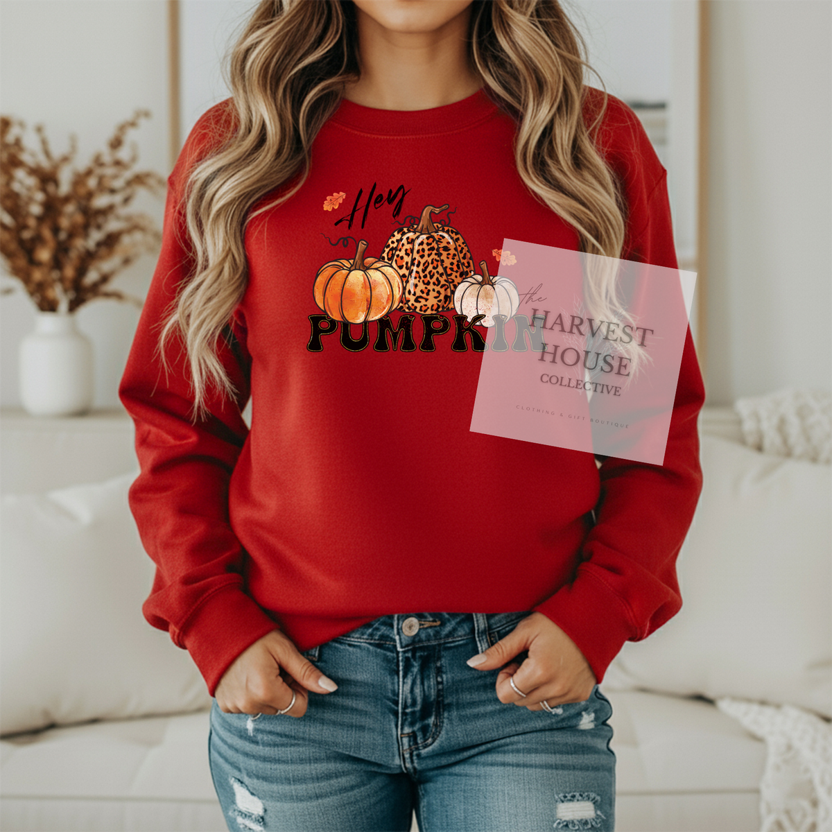 Hey Pumpkin Shirt