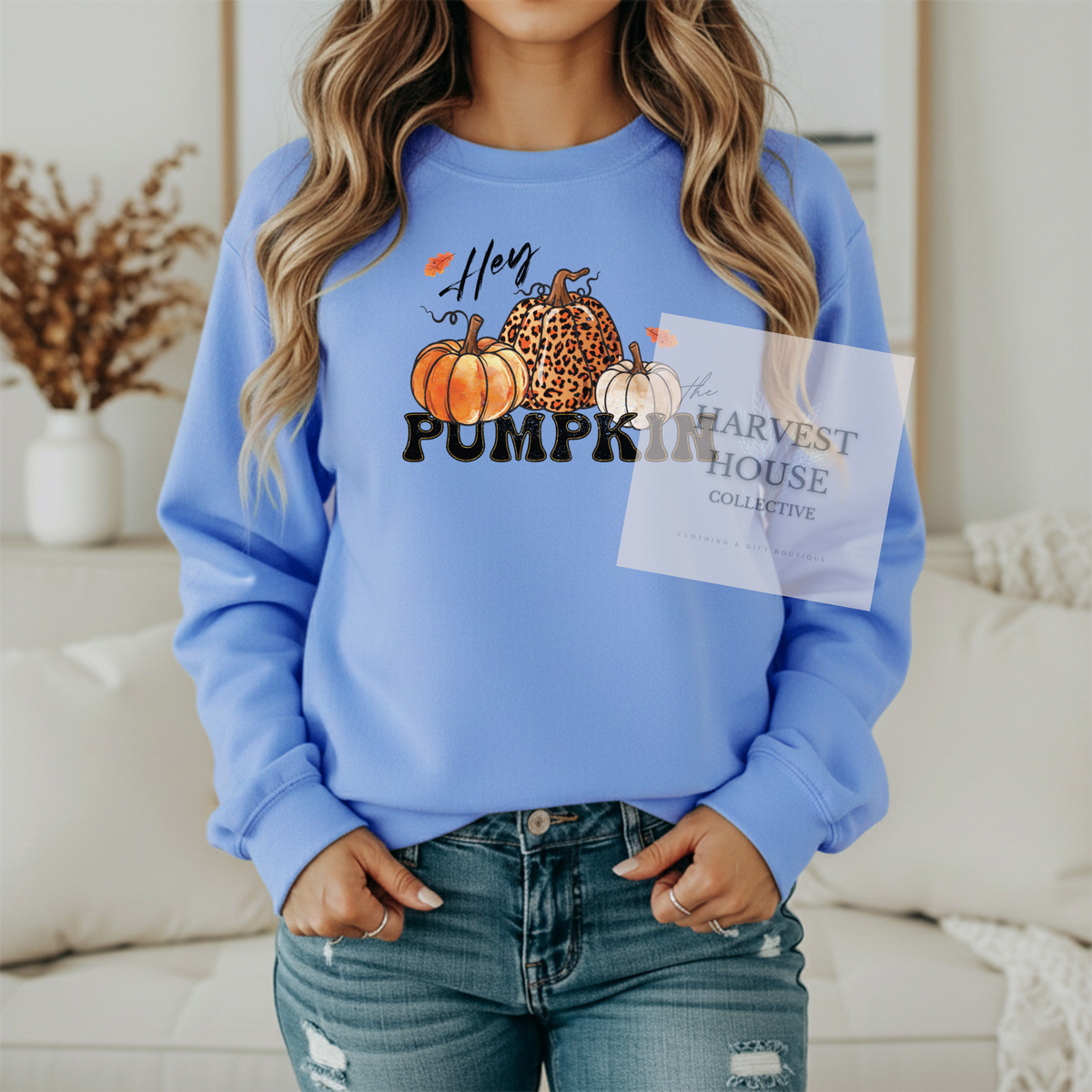 Hey Pumpkin Shirt