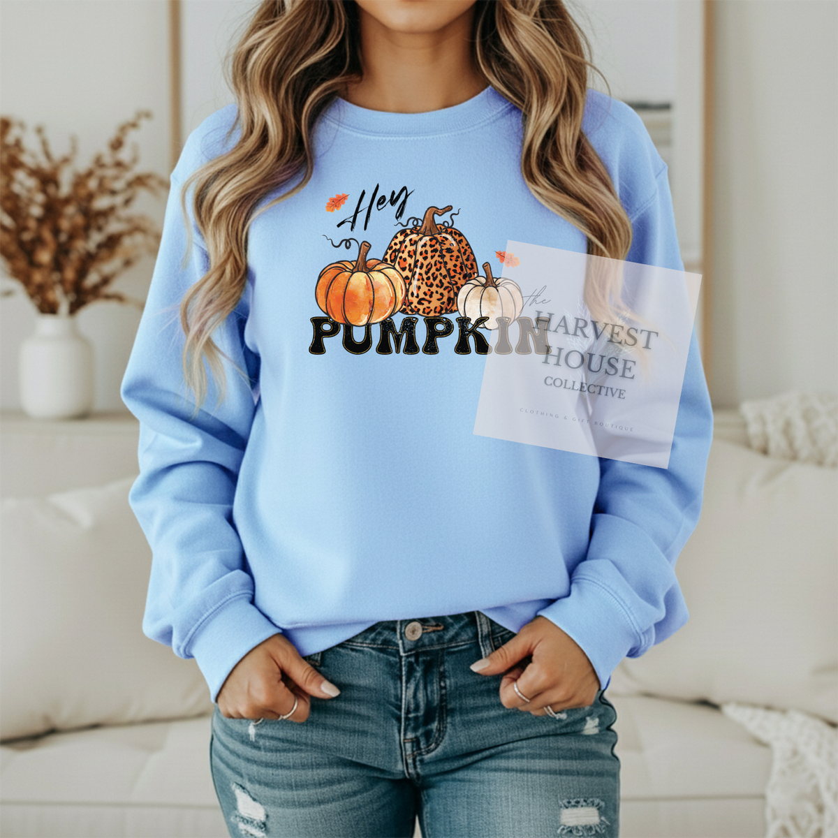 Hey Pumpkin Shirt