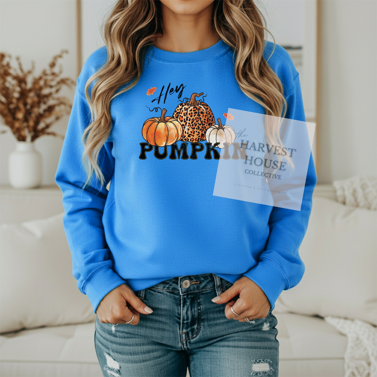 Hey Pumpkin Shirt