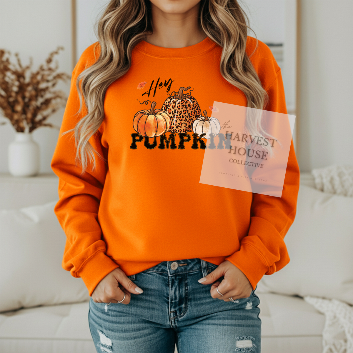 Hey Pumpkin Shirt