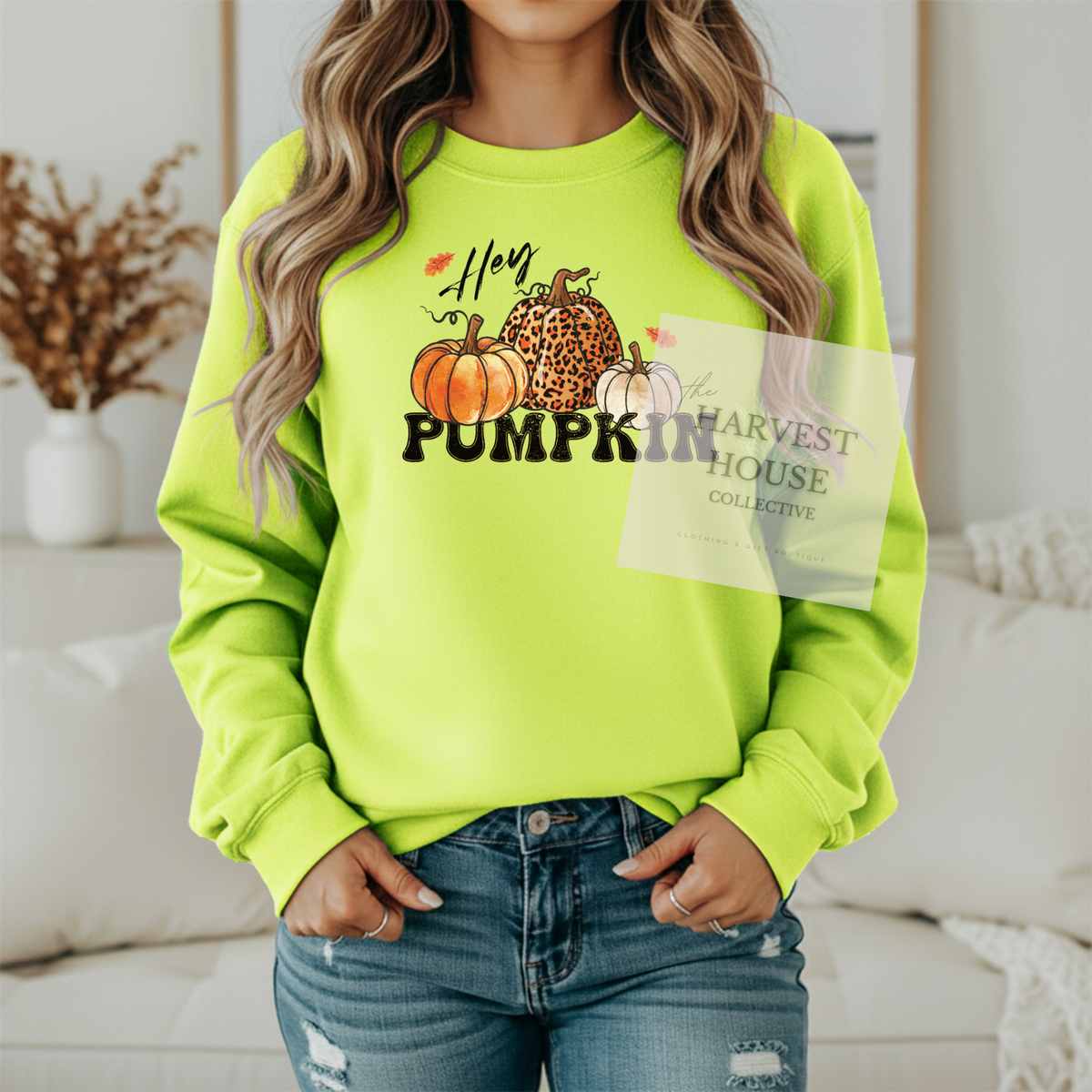 Hey Pumpkin Shirt