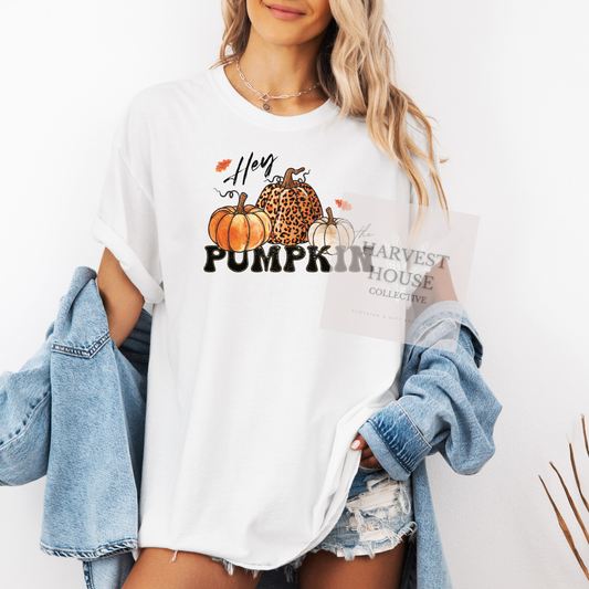Hey Pumpkin Shirt