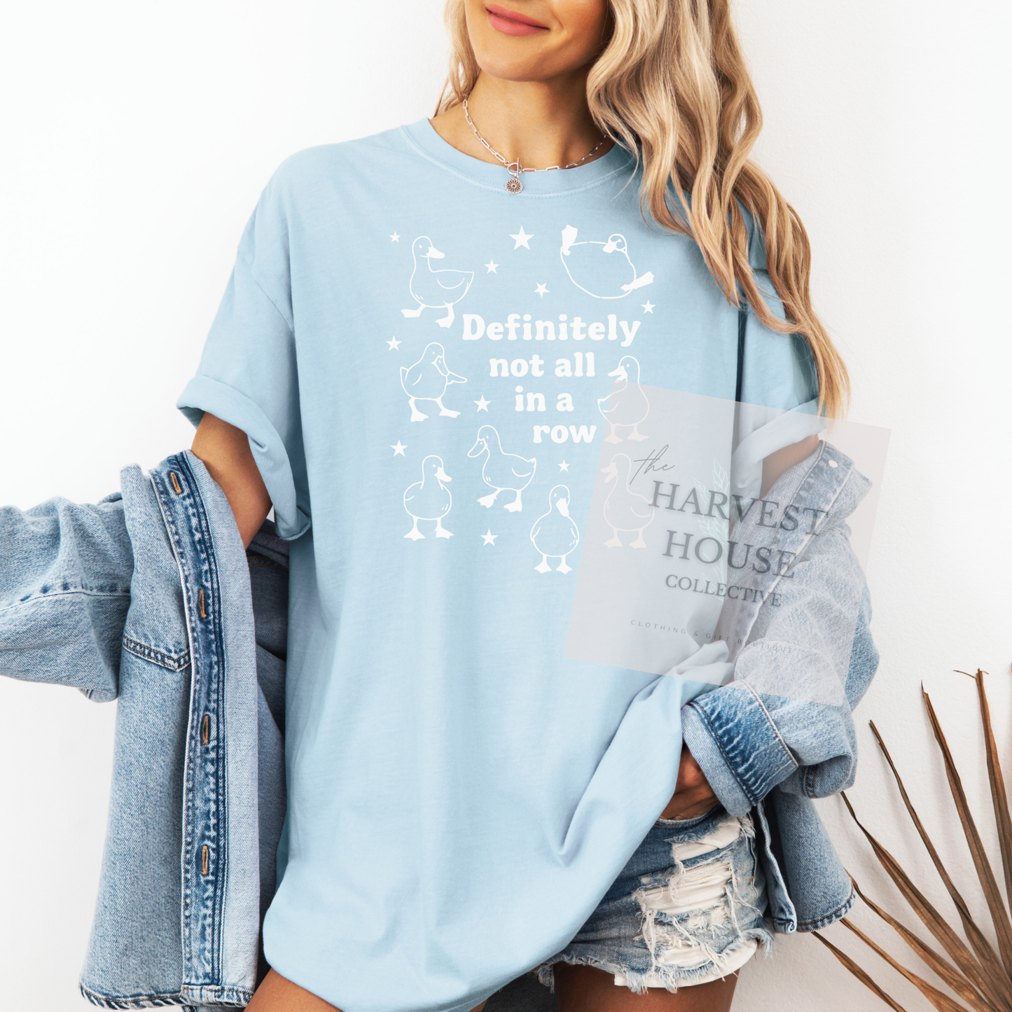 Ducks In A Row Comfort Color Tee