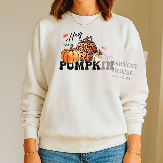 Hey Pumpkin Shirt