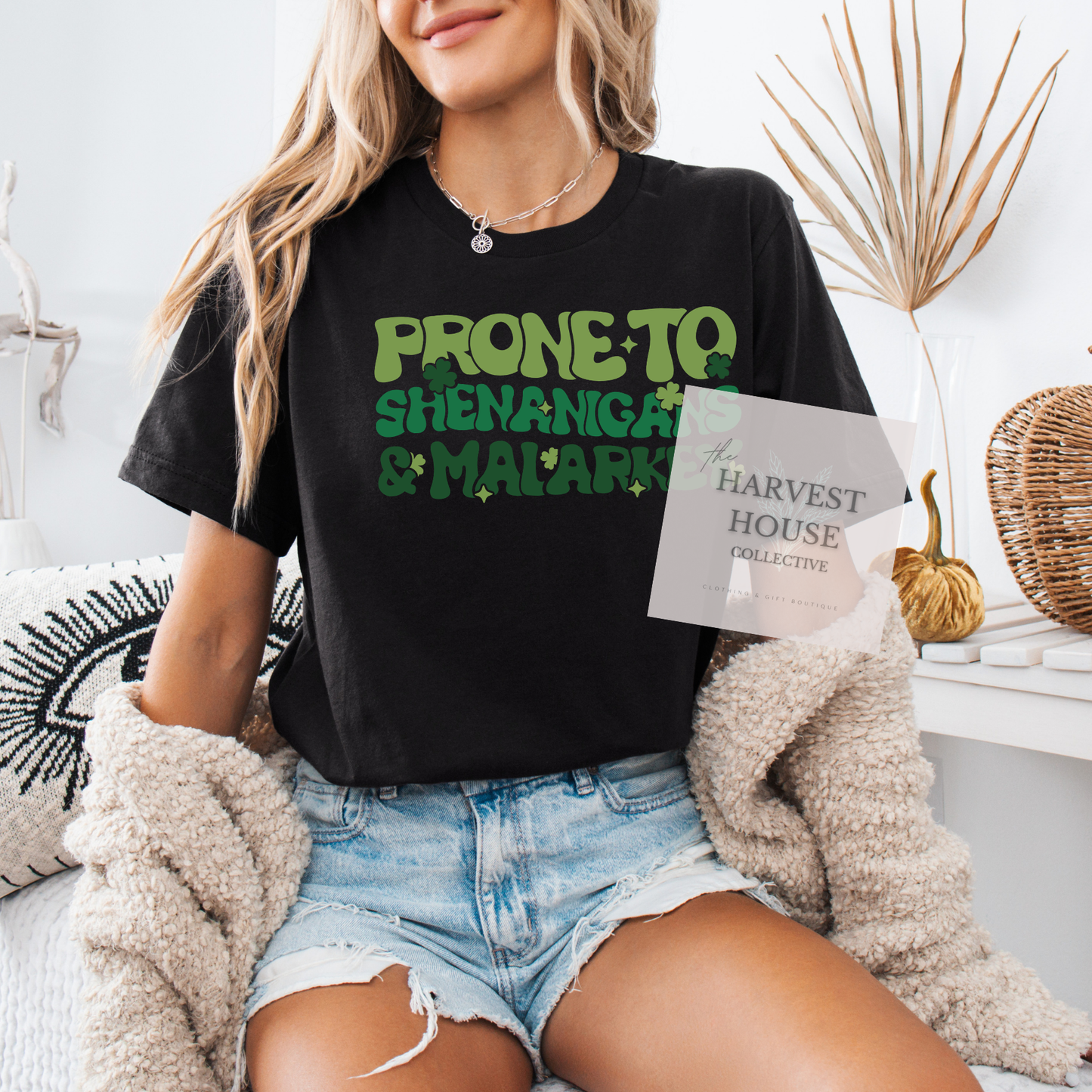 Prone To Shenanigans And Malarky Bella Canvas Tee